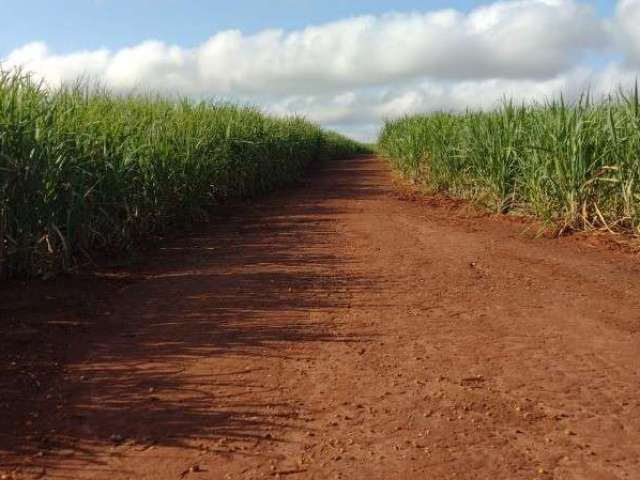 Oportunidade fazenda 84 alqueires dupla aptidão em rio claro-sp