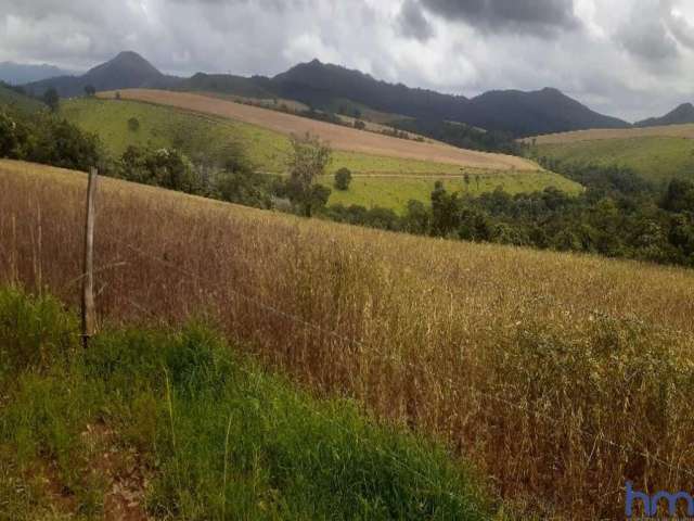 Fazenda dupla aptidão com 1.500 hectares em piumhi-mg