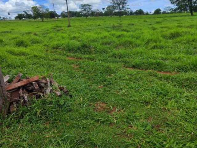 Fazenda com 55 alqueires de dupla aptidão em campina verde-mg