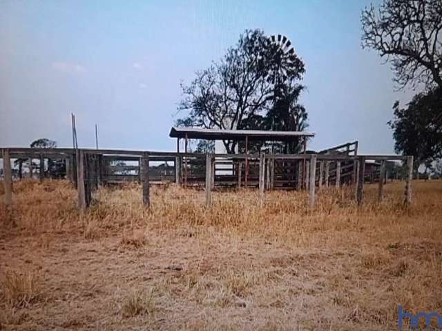 Fazenda com 76 alqueires dupla aptidão no município de campina verde - mg