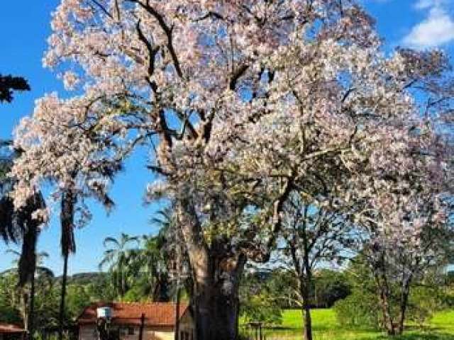 Fazenda com 46 alqueires de dupla aptidão em campina verde-mg