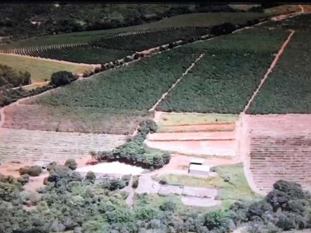 Fazenda 38 alqueires paulistas dupla aptidão em capitólio-mg