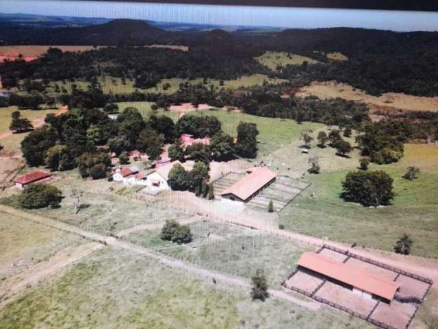 Excelente fazenda 110 alqueires de dupla aptidão em uberaba-mg