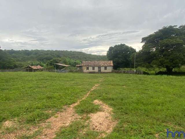 Fazenda com 600 alqueires para pecuária ainda bruta em arraias -to