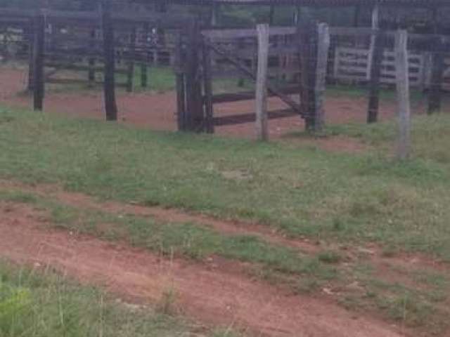 Fazenda com 250 alqueires de dupla aptidão situada no município de peixe-to