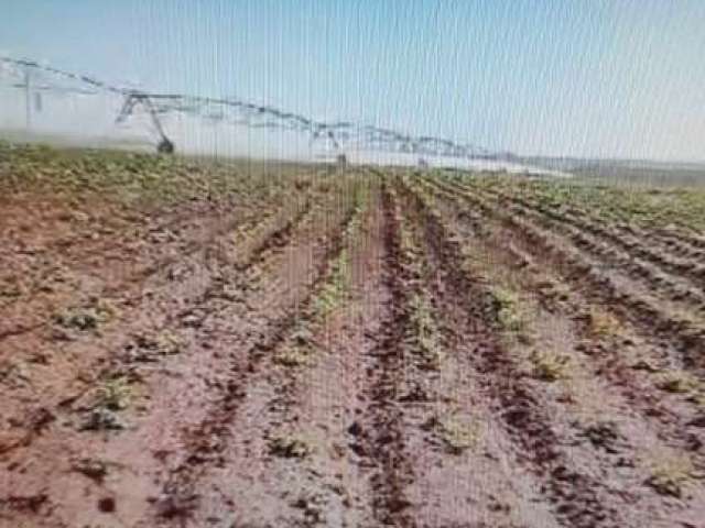 Fazenda com 69 alqueires de dupla aptidão com lavoura irrigada no pivô arrendada a 20 km de uberlândia-mg