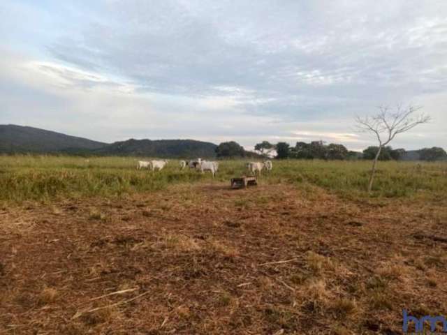 Fazenda com 310 alqueires dupla aptidão em colinas do sul - go