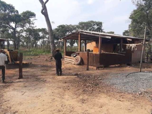 Fazenda com 680 alqueires paulistas para pecuária em poconé-mt