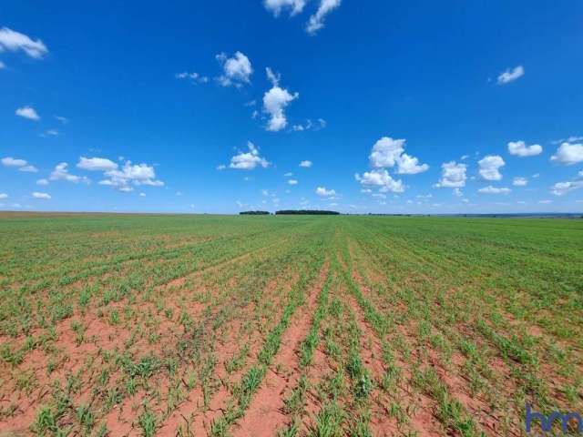 Fazenda para agricultura com 396 alqueires paulistas em cassilândia-ms