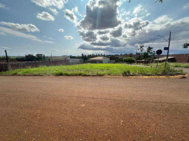 Terreno à venda em Floresta, Centro, com 380 m²