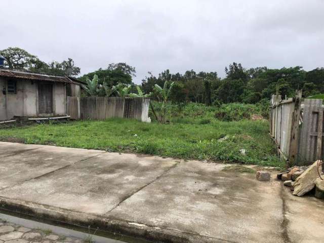 Terreno para Venda em Itanhaém, Savoy