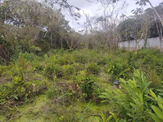 Terreno para Venda em Itanhaém, Luizamar Mirim