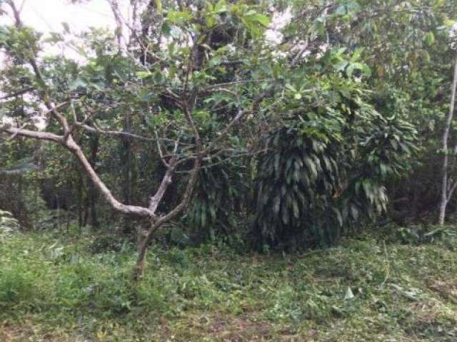 Terreno para Venda em Itanhaém, São Fernando