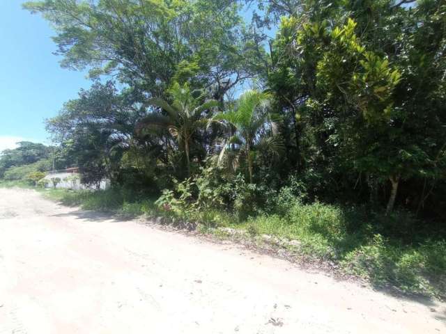 Terreno para Venda em Itanhaém, São Fernando