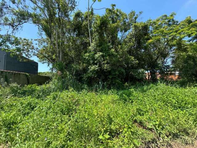 Terreno para Venda em Itanhaém, Palmeiras