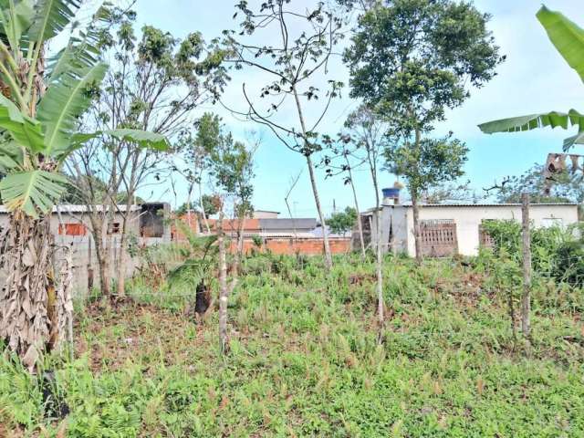 Terreno para Venda em Itanhaém, São João