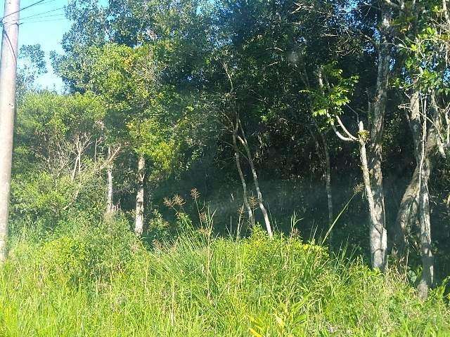 Terreno para Venda em Itanhaém, Paranapuã