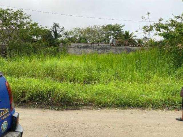 Terreno para Venda em Itanhaém, Palmeiras