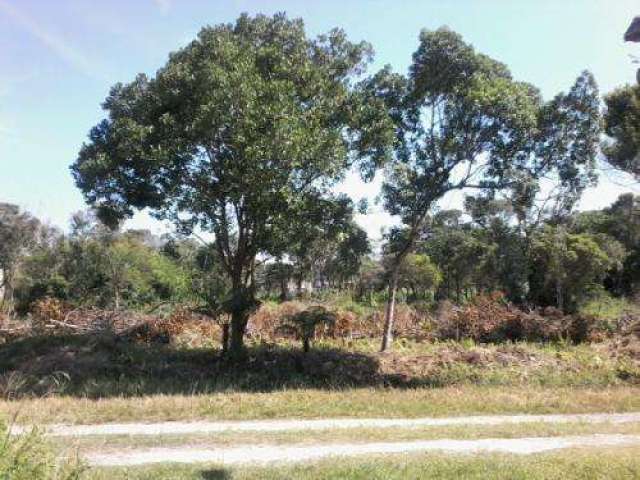 Terreno para Venda em Itanhaém, Luizamar Mirim