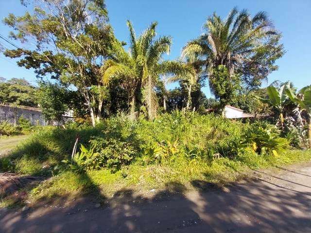 Terreno para Venda em Peruíbe, Jardim Somar