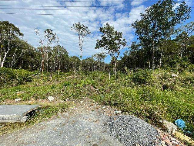 Terreno para Venda em Itanhaém, Bopiranga