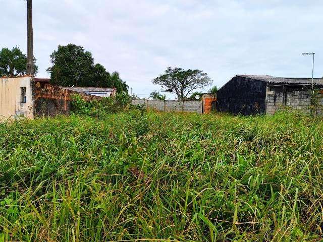 Terreno para Venda em Itanhaém, Palmeiras