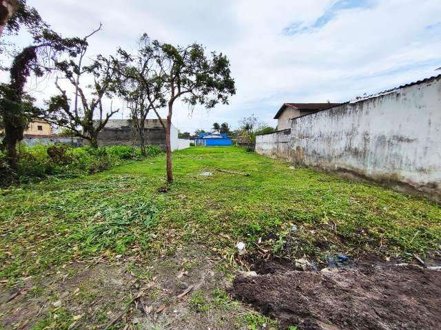 Terreno para Venda em Itanhaém, Palmeiras