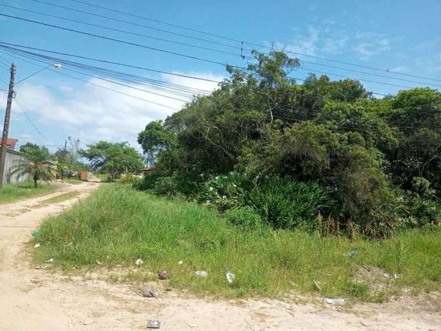 Terreno para Venda em Itanhaém, Luizamar Mirim