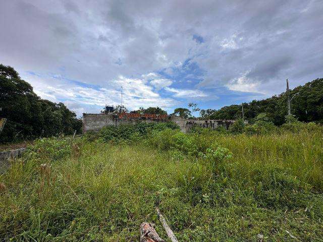 Terreno para Venda em Itanhaém, Santa Cruz