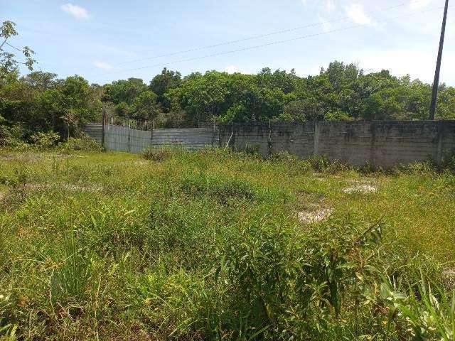 Terreno para Venda em Itanhaém, Palmeiras