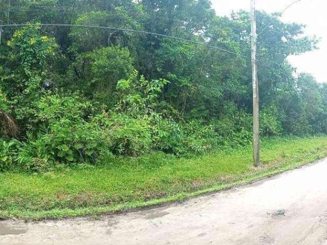 Terreno para Venda em Itanhaém, São Fernando