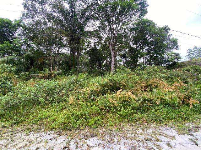 Terreno para Venda em Itanhaém, São Fernando