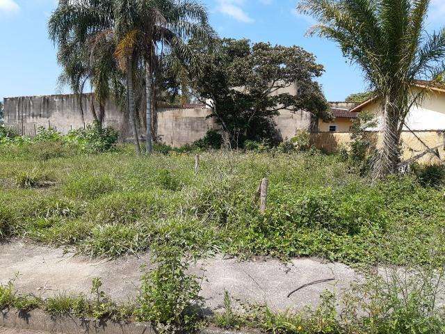 Terreno para Venda em Itanhaém, Palmeiras