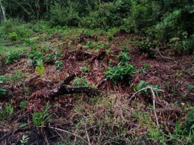 Terreno para Venda em Itanhaém, Verde Mar