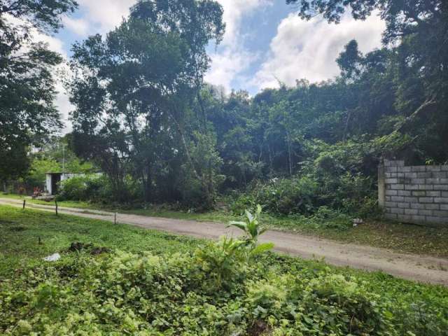 Terreno para Venda em Itanhaém, São Fernando