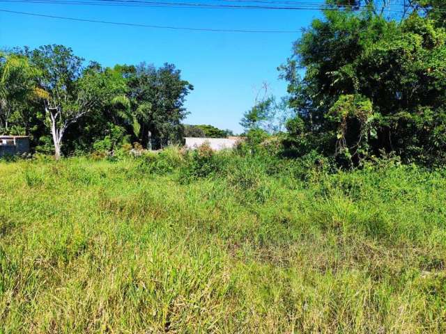 Terreno para Venda em Itanhaém, Maramba 2