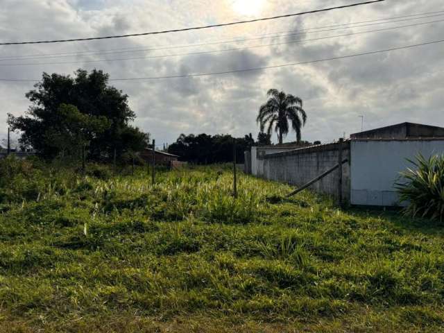 Terreno para Venda em Itanhaém, Palmeiras