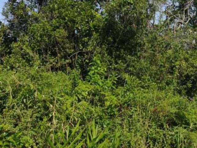 Terreno para Venda em Itanhaém, Gaivota