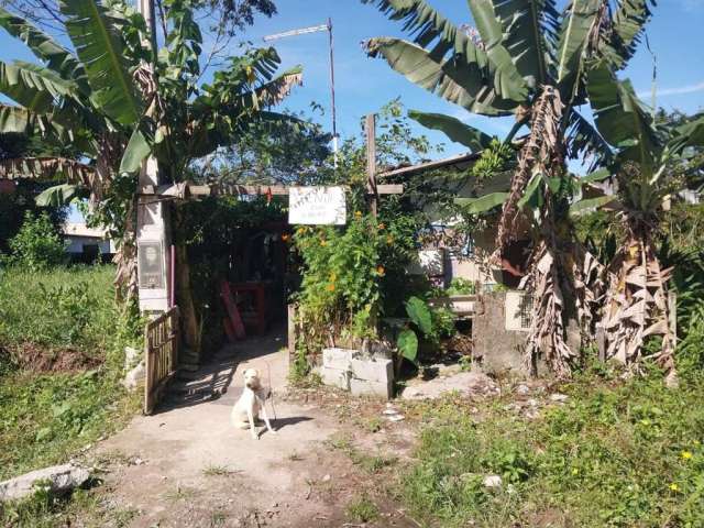 Terreno para Venda em Itanhaém, Luizamar Mirim