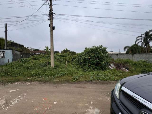 Terreno para Venda em Itanhaém, Palmeiras