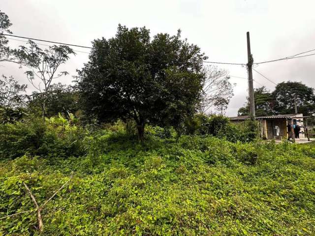 Terreno para Venda em Itanhaém, Coronel