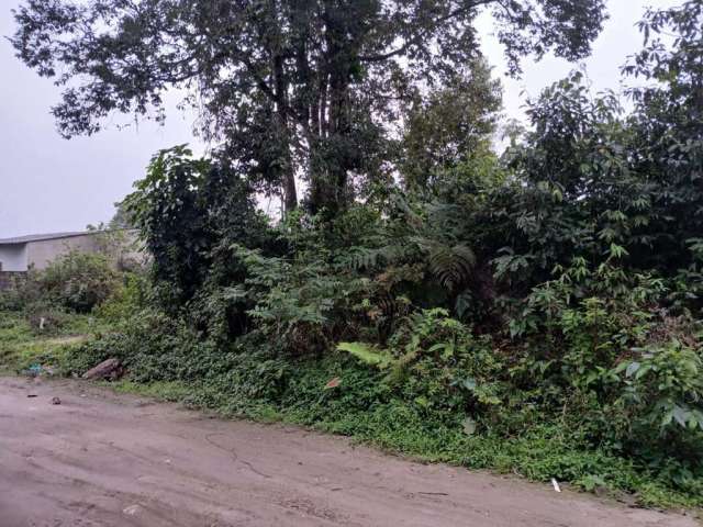 Terreno para Venda em Itanhaém, Jardim Coronel