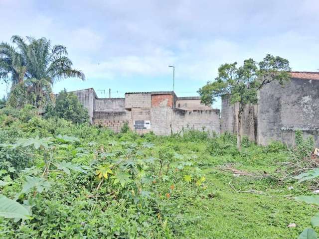 Terreno para Venda em Itanhaém, Palmeiras