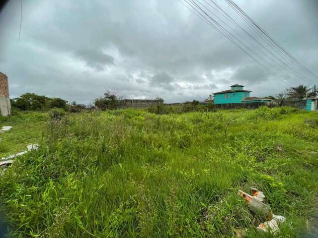 Terreno para Venda em Itanhaém, Chácaras Cibratel