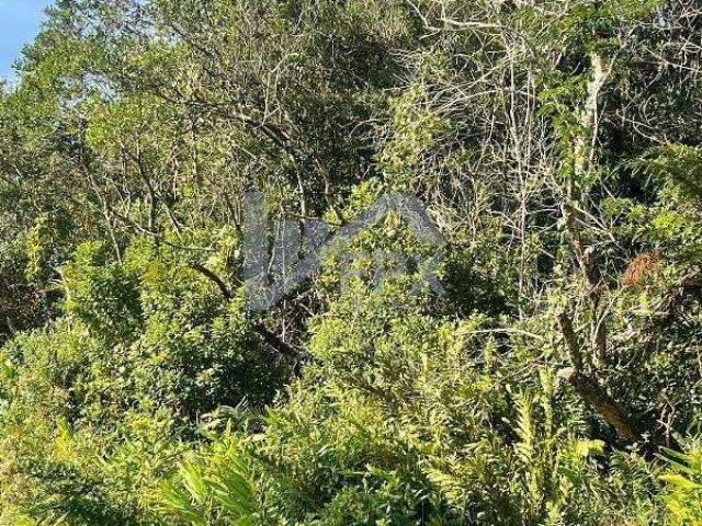 Terreno para Venda em Itanhaém, Estância Santa Cruz