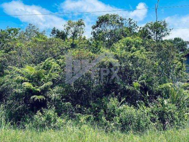 Terreno para Venda em Itanhaém, Jardim Guacyra