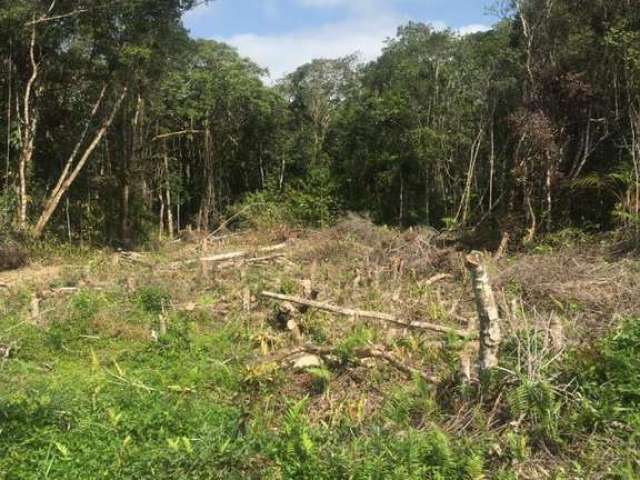 Terreno para Venda em Itanhaém, Indaiá