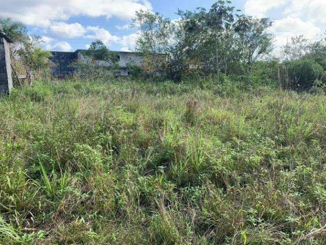 Terreno para Venda em Itanhaém, Jardim Marambá 1