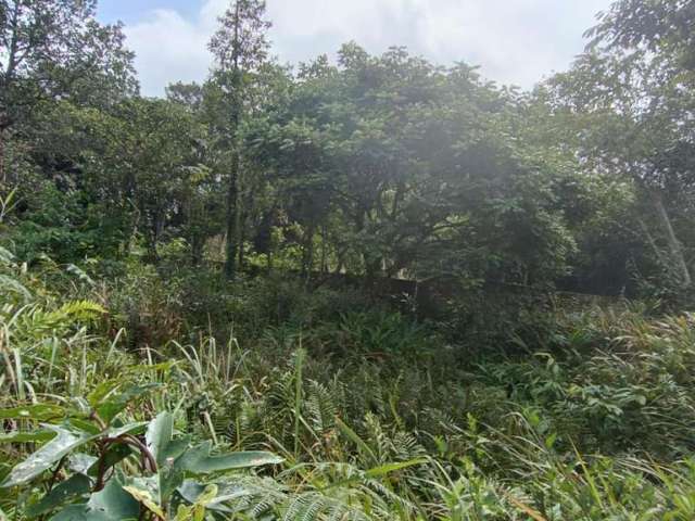 Terreno para Venda em Itanhaém, Jardim Marambá 2