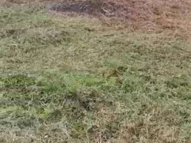 Terreno para Venda em Itanhaém, Jardim São Fernando